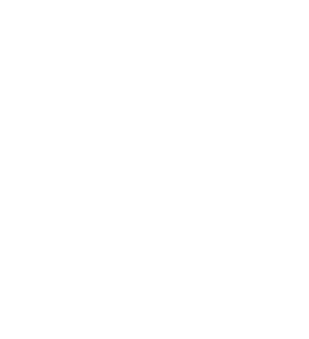 1971v